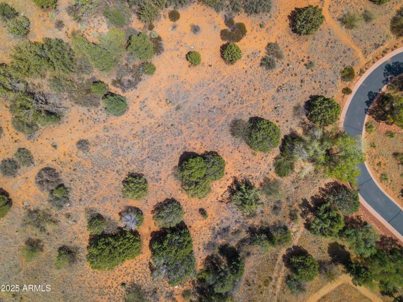 160 Hidden Meadow Aerial