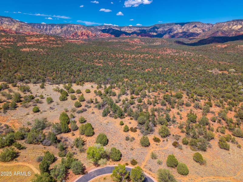 160 Hidden Meadow Aerial