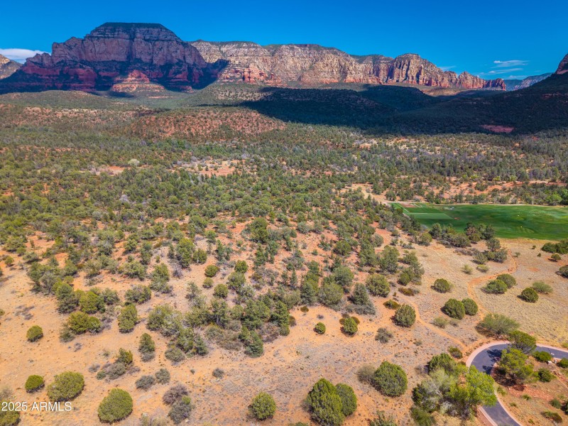 160 Hidden Meadow Aerial