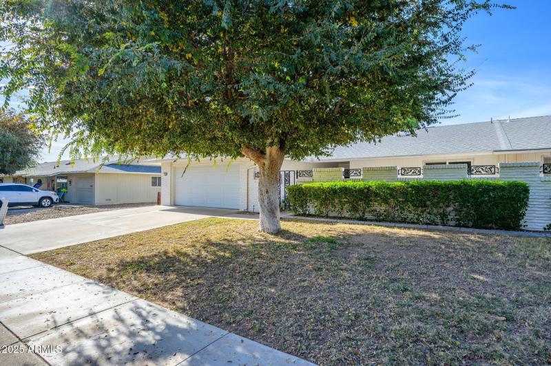 33-web-or-mls-99th-39