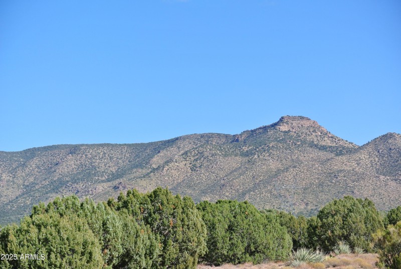 3) 66208-694469028815c