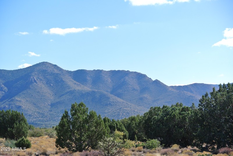 6) 66208-694469058c5c4