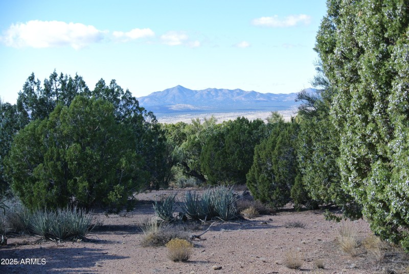 9) 66208-6944690a2a560