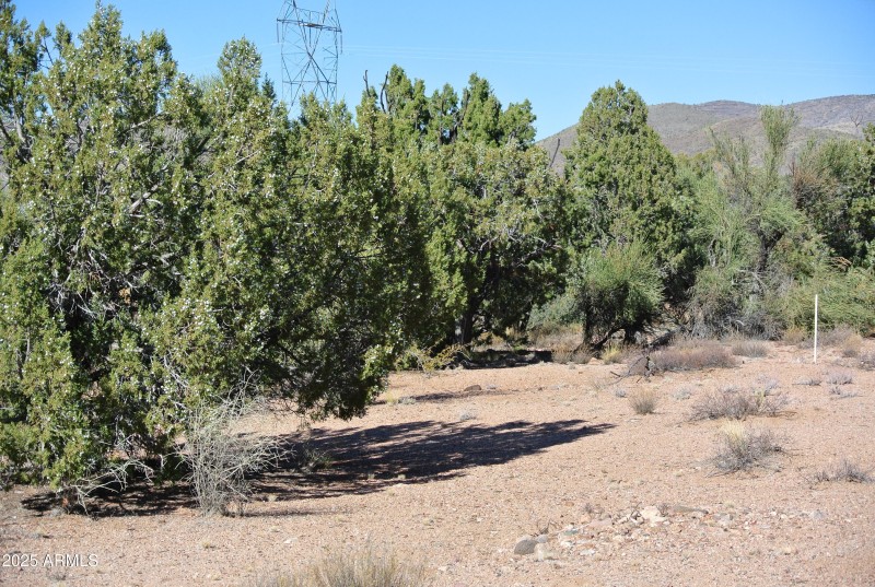 12) 66208-694469100ee34