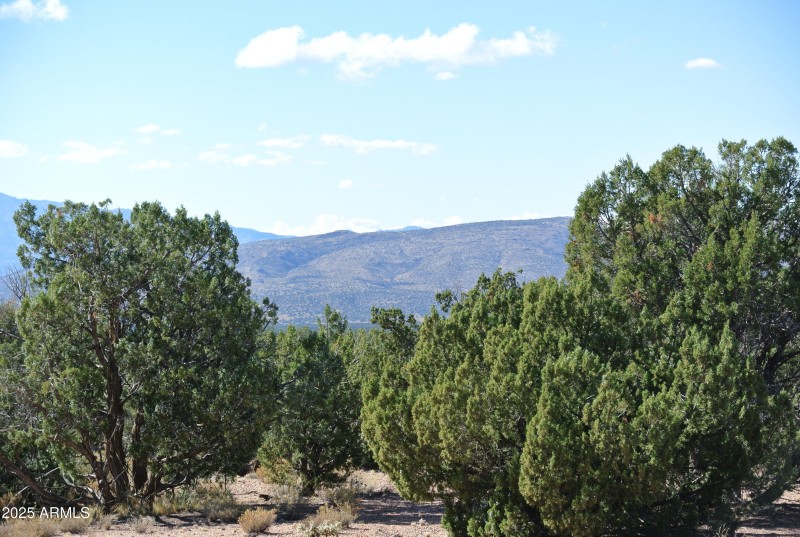 16) 66208-6944691402c5d