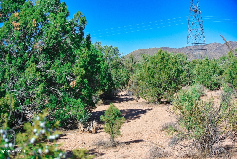 17) 66208-69446918afa22