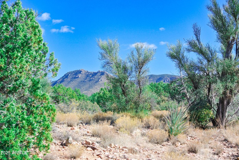 18) 66208-6944691bea25b