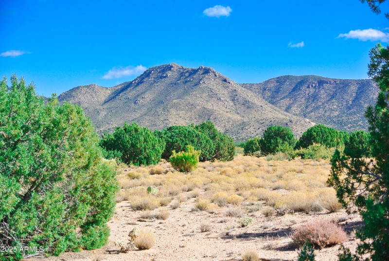 19) 66208-6944691930313