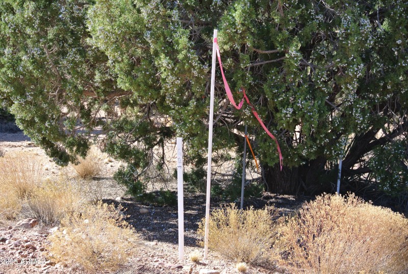 24) 66208-6944691809b4b