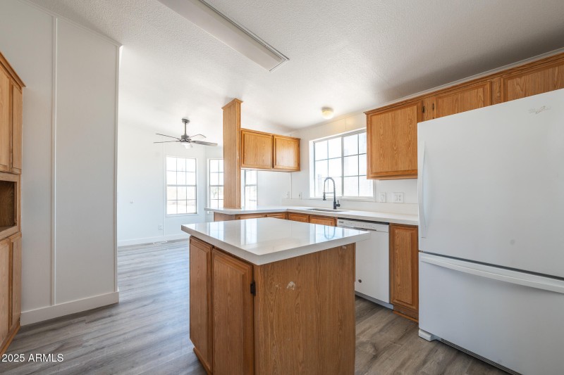 DSC02291-Enhanced-NR