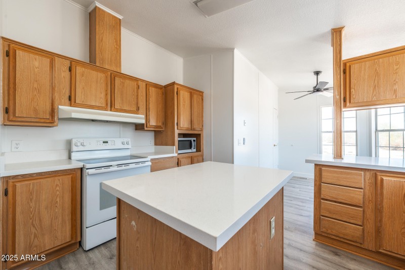 DSC02292-Enhanced-NR