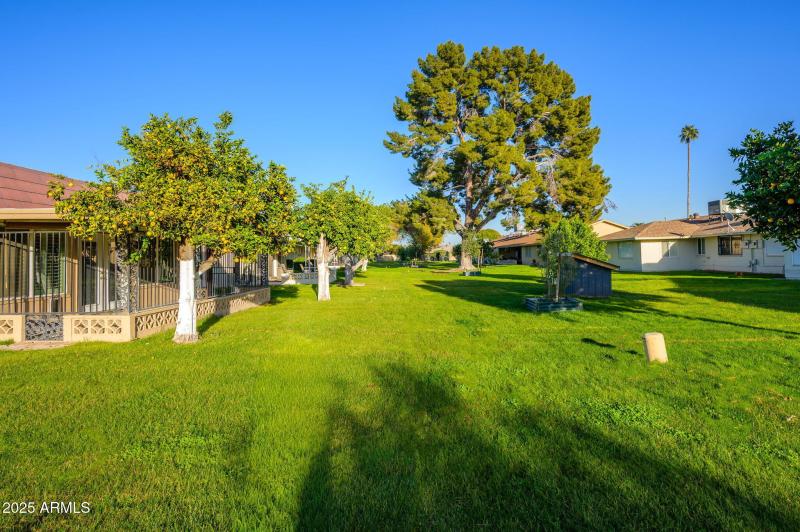 13-web-or-mls-Roundelay-13