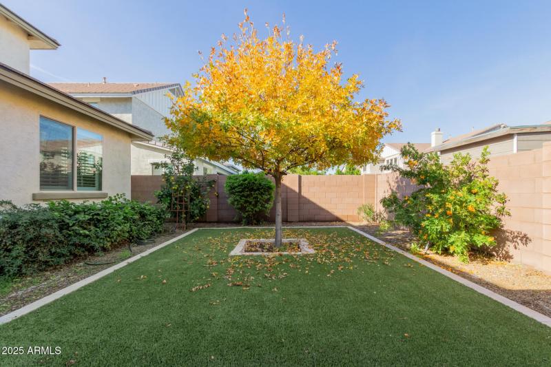 43 - Palo Verde 4268