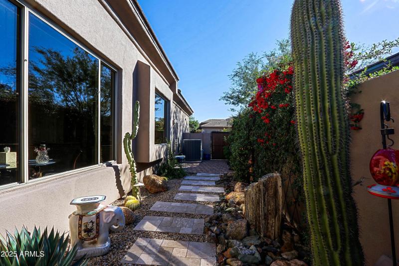 Side Yard 2