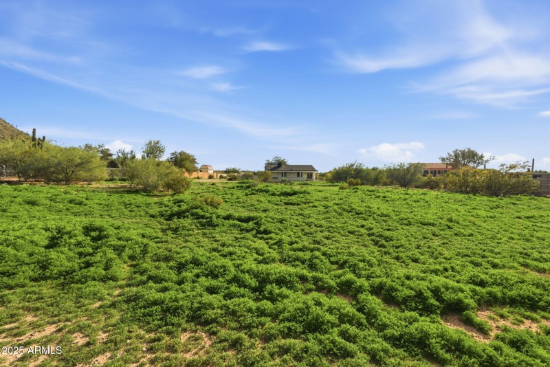 29-web-or-mls-389A0493 Ruben Ortiz