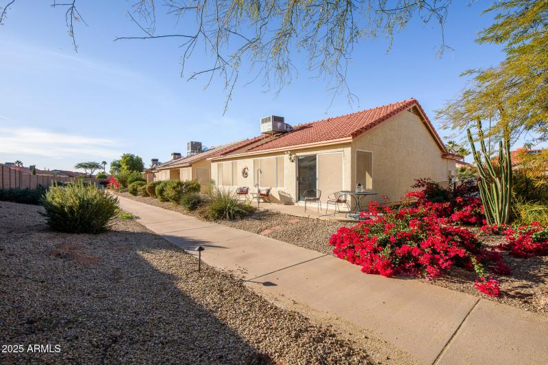 Open Space Behind Home (2)