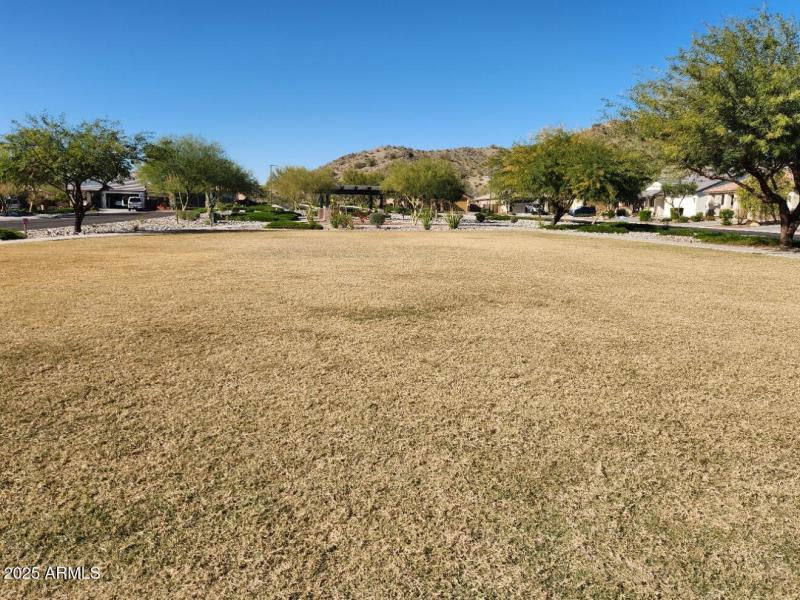 With lots of room to run & play!