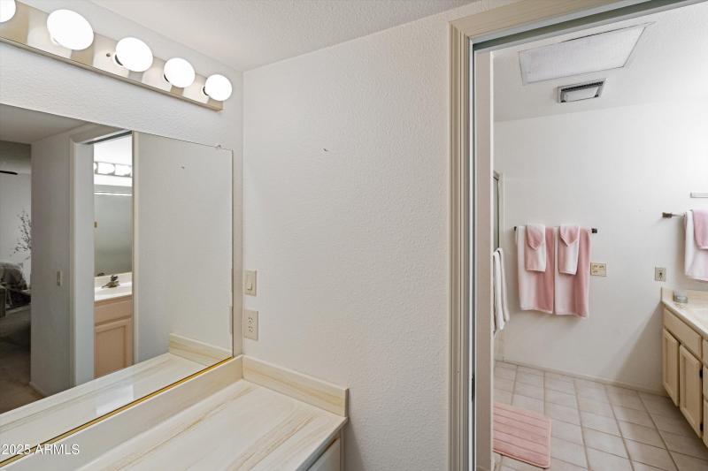 21-Primary Bath Makeup