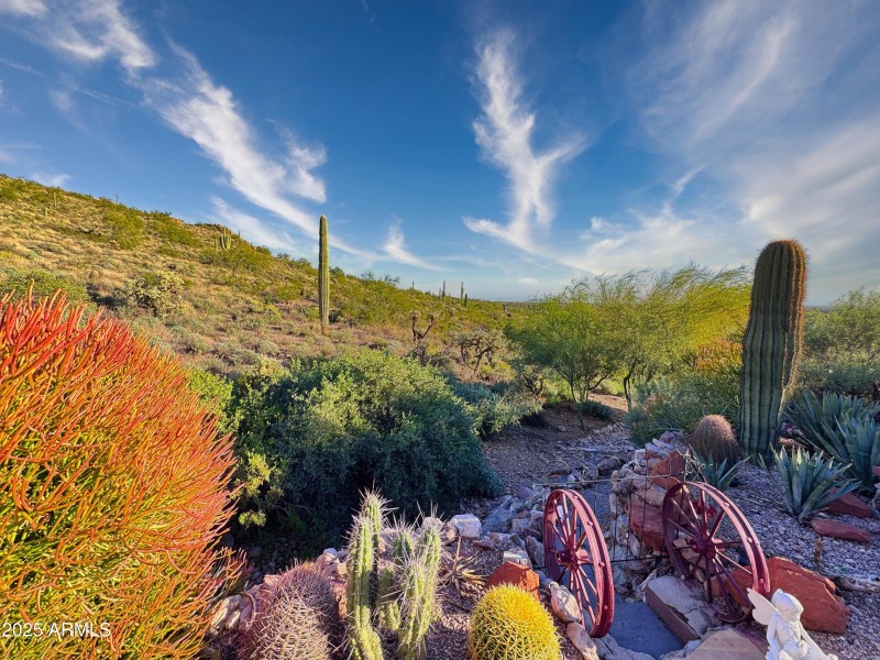 Access to the desert