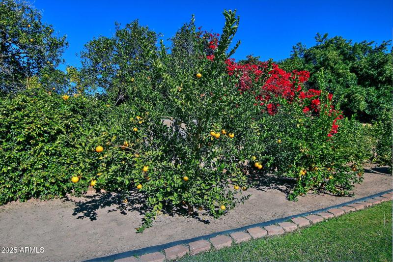 61-web-or-mls-zSet15