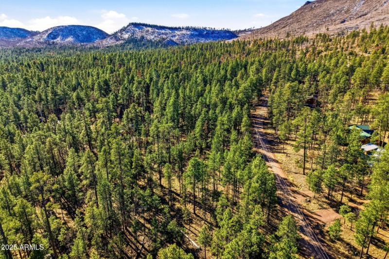 20CR2067-Alpine-AZ-5