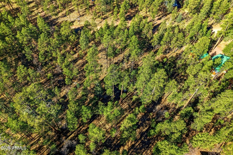 20CR2067-Alpine-AZ-11