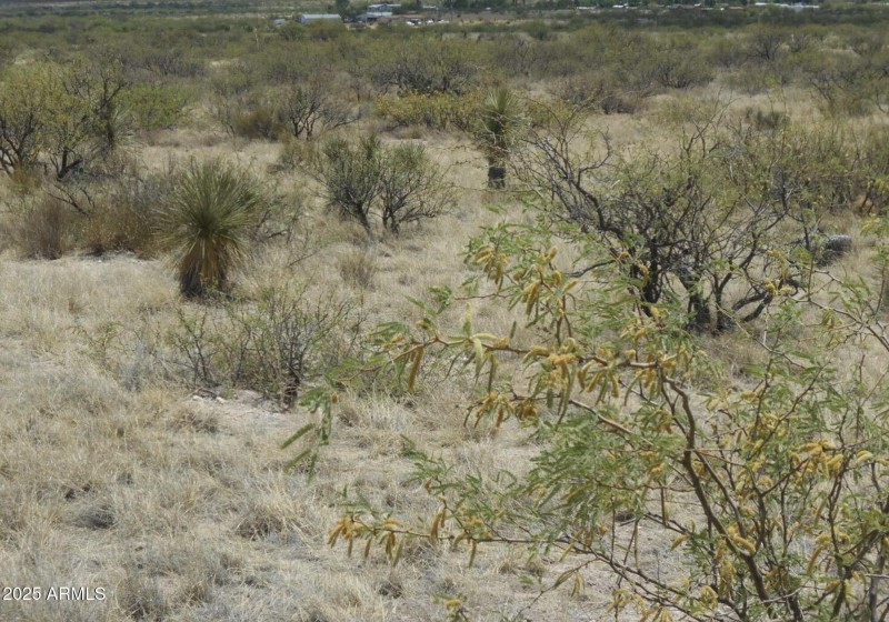 Screen Shot 2025-12-22 at 9.31.47 AM