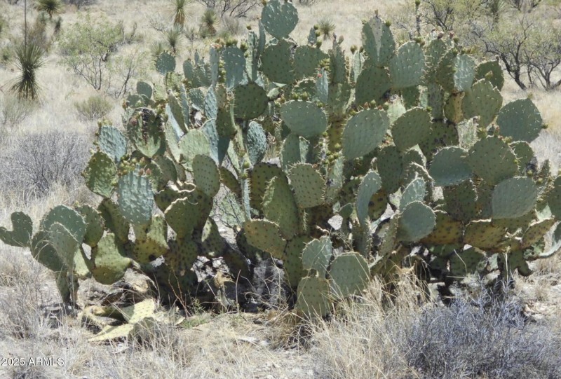 Screen Shot 2025-12-22 at 9.31.07 AM