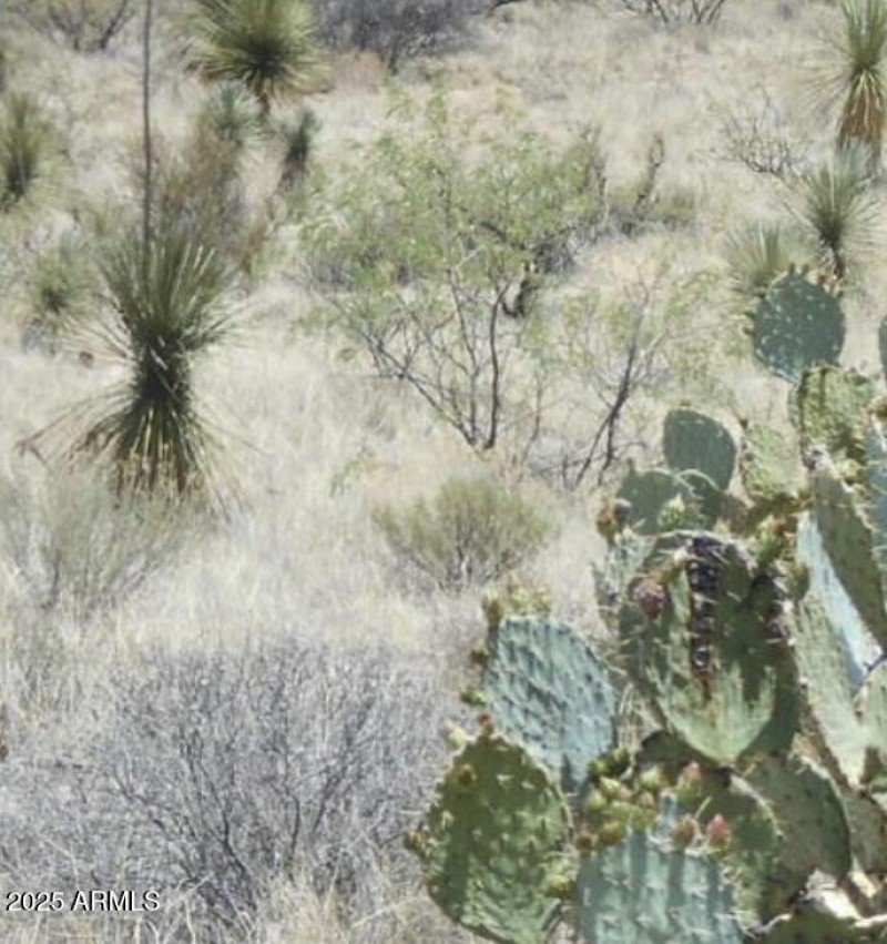 Screen Shot 2025-12-22 at 9.30.50 AM