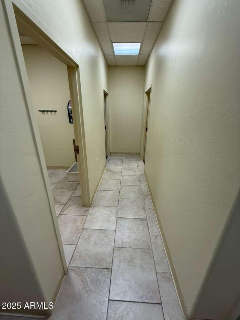 WhatsApp Image 2025-12-18 at 11.13.17 AM