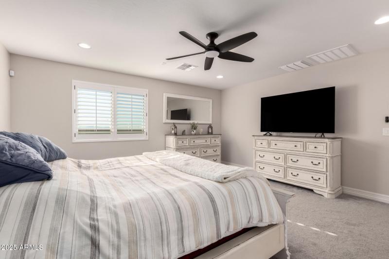 20 - Mariposa Grande 14045