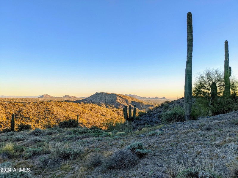 003_003_Homesteads 17AC