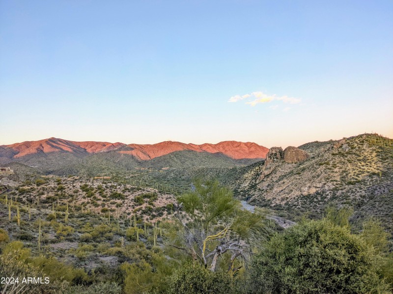 013_013_Privacy Galore