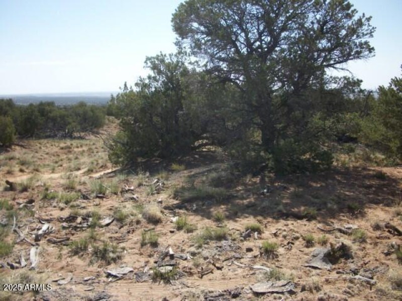 lastest 034 Large Web view