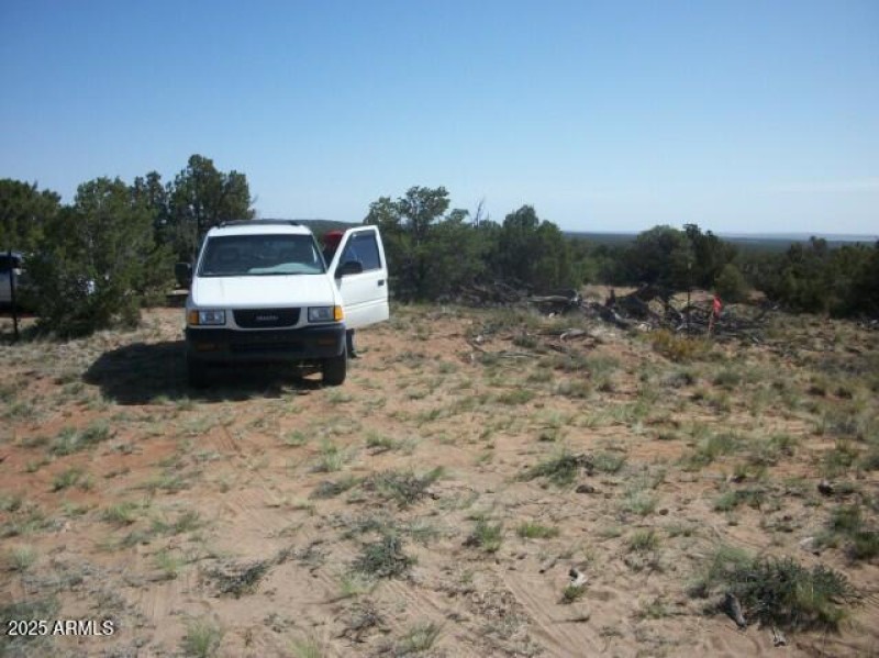 lastest 035 Large Web view