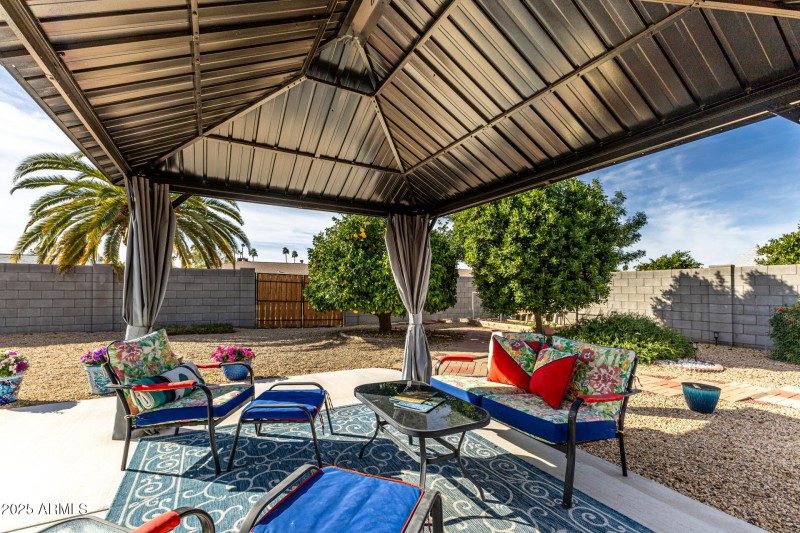 Highlight of the backyard