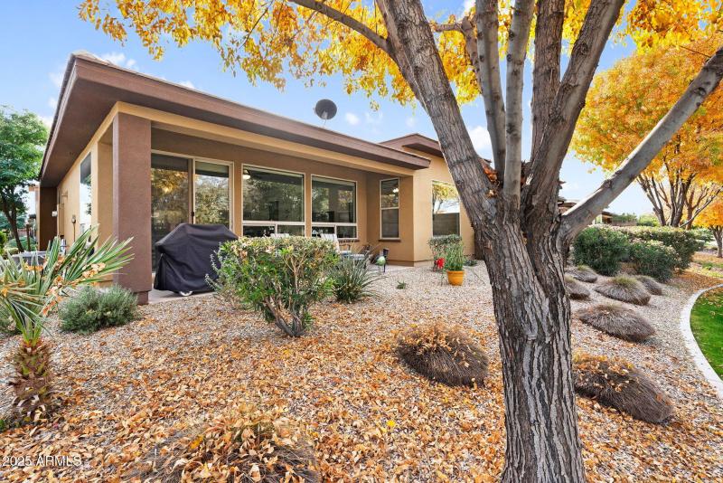 36-web-or-mls-712 E Myrtle Pass-37