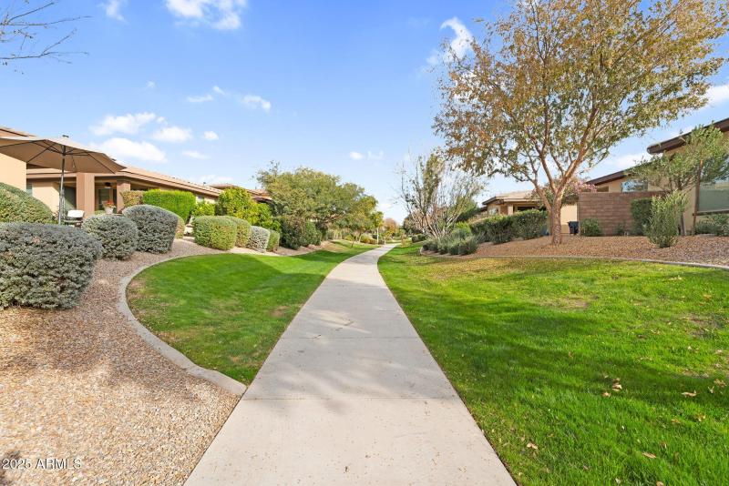 41-web-or-mls-712 E Myrtle Pass-38