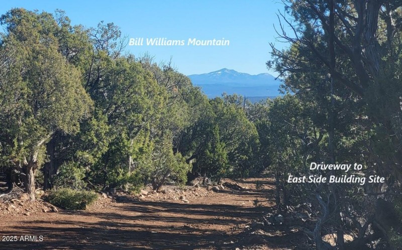 thumbnail_20251128_133307