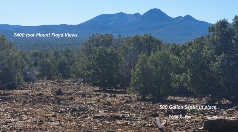 thumbnail_20251128_133513