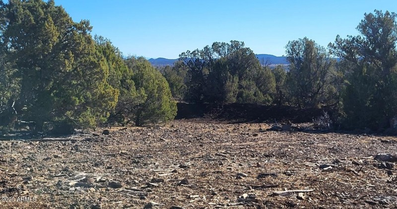 thumbnail_20251128_133817