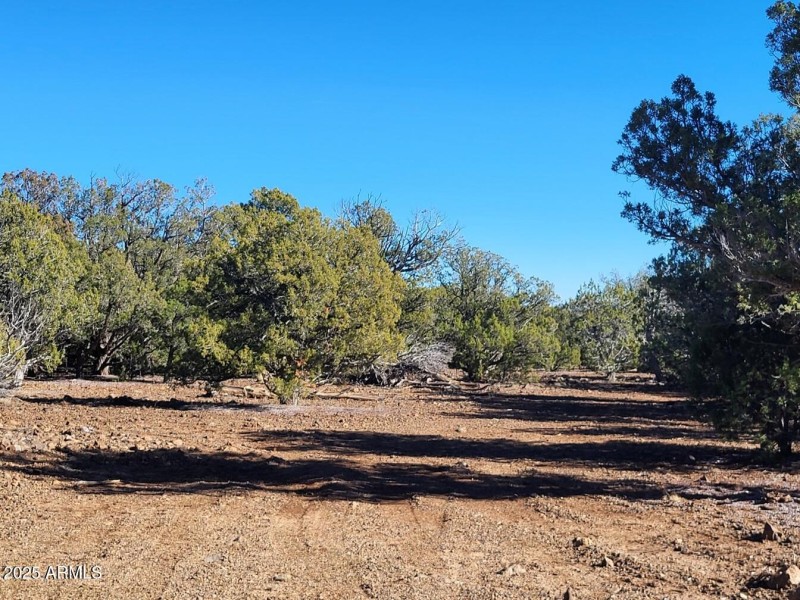 thumbnail_20251128_133946