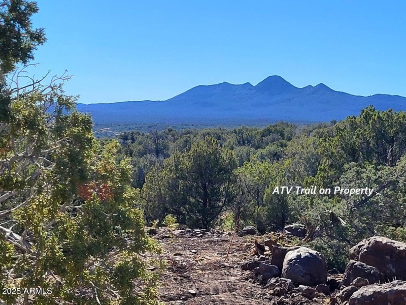 thumbnail_20251128_134737