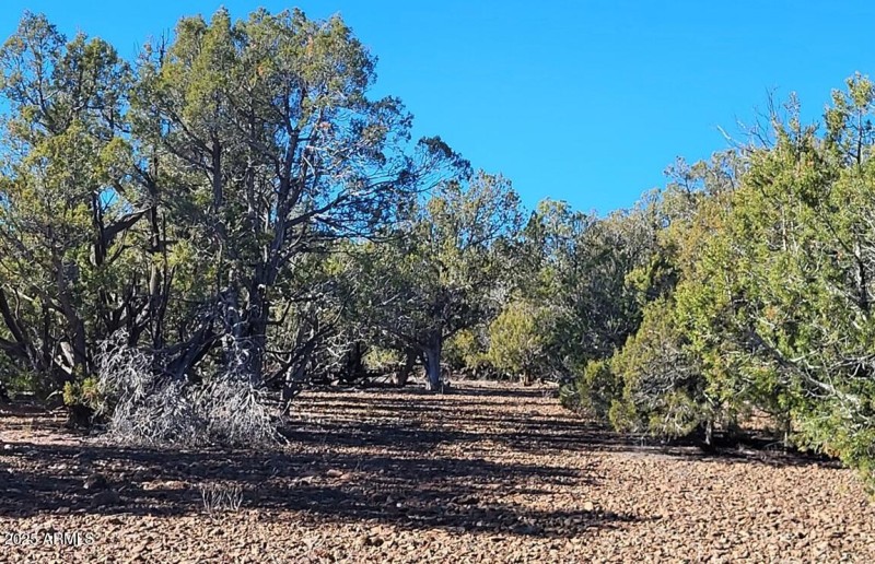 thumbnail_20251128_135255