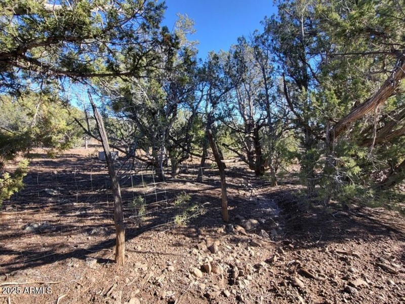 thumbnail_20251128_135317