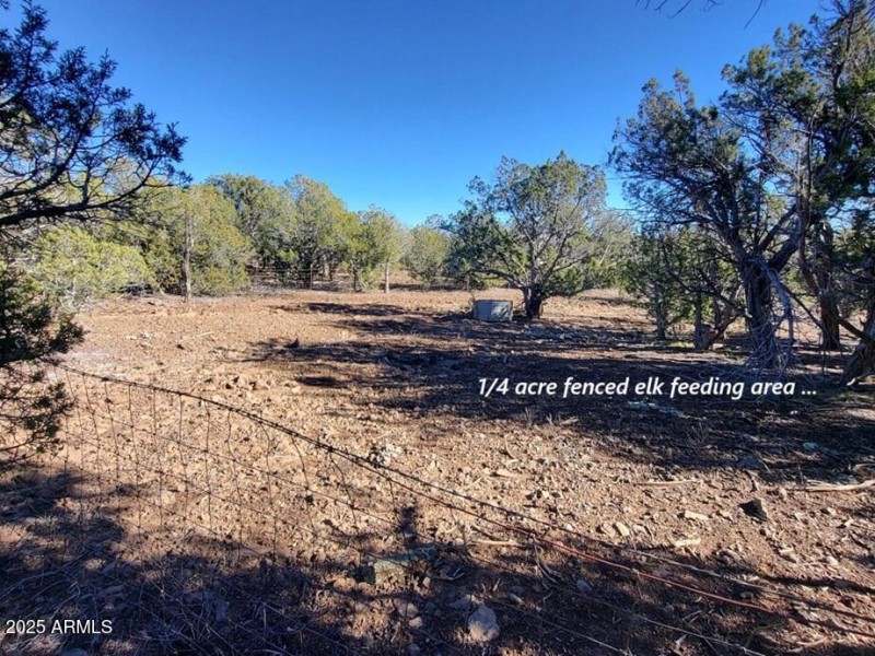 thumbnail_20251128_135337