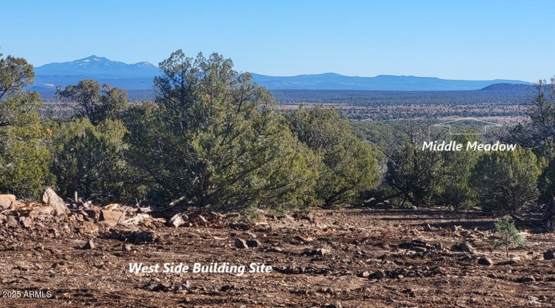 thumbnail_20251128_140728