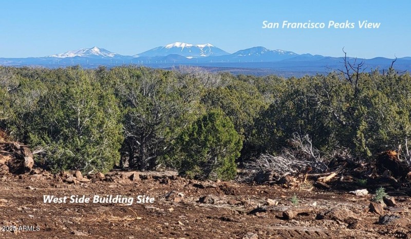 thumbnail_20251128_140751