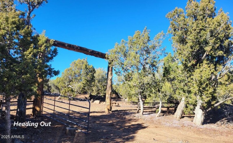 thumbnail_20251128_141035