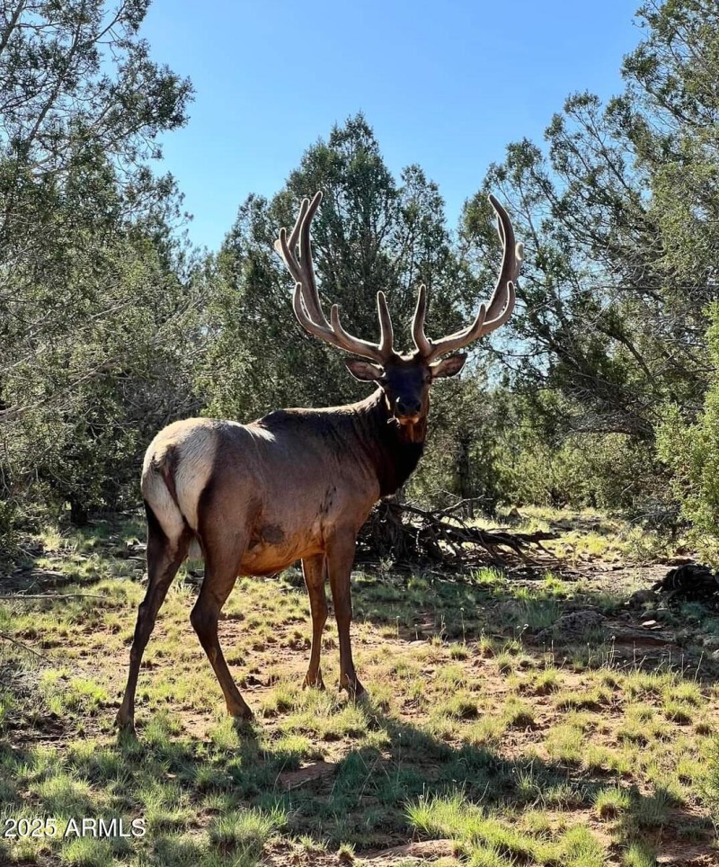 FB_IMG_1720067604767